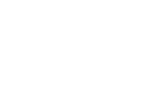 logo dame diagnostic